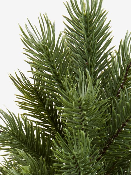 Коледно дърво зелено