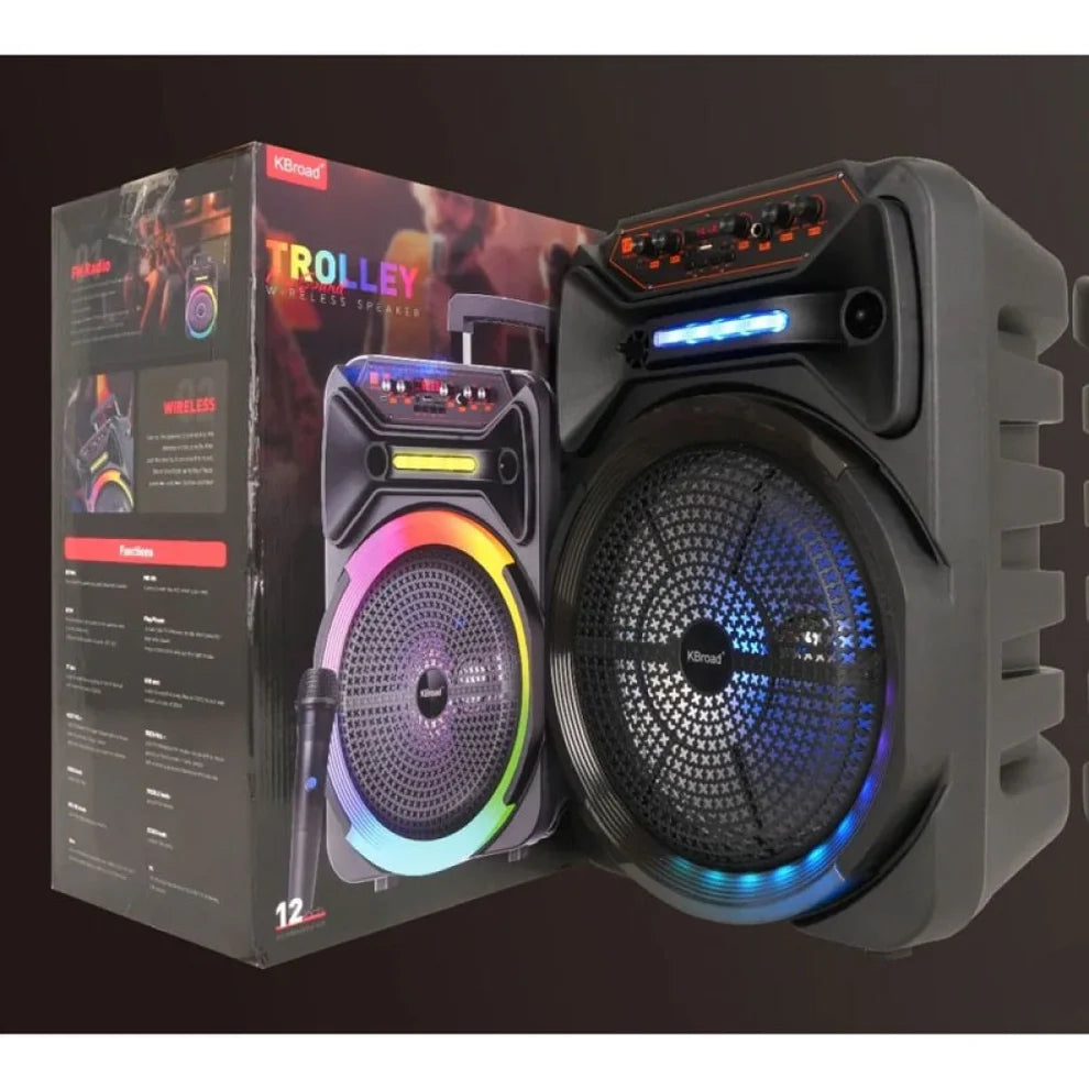 Караоке тонколона 12 инча KTS-2162