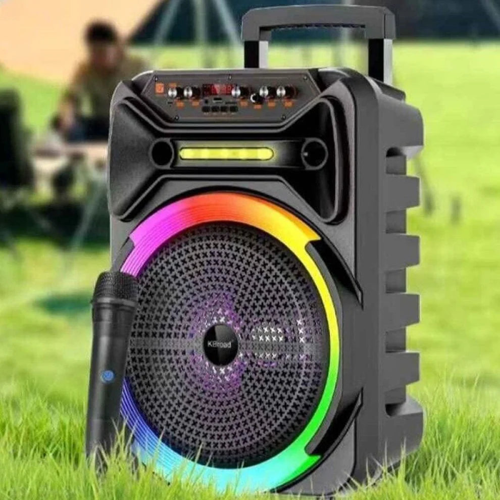 Караоке тонколона 12 инча KTS-2162