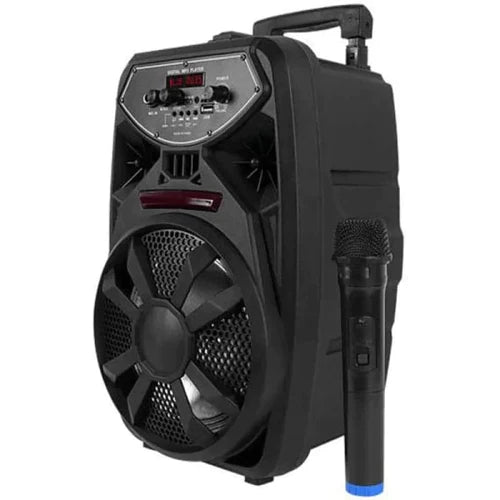 Караоке колона PK-09l 300W